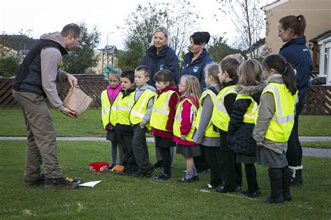 Pupils Help Plant Thousands Of Bulbs At Cartrefi Conwy Wales Express