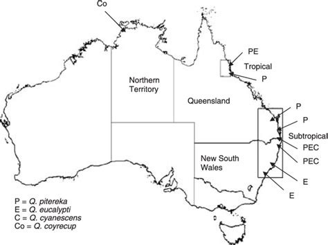 Map Of Australia Indicating Where Quambalaria Pitereka And Q Eucalypti