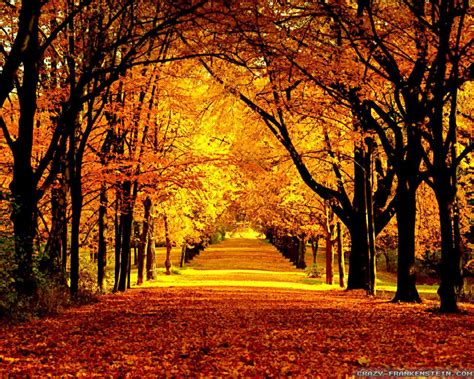 Beautiful Autumn Wallpapers 2 Seasonal Crazy Frankenstein