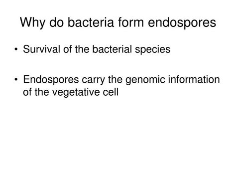 Ppt Gram Positive Endospore Forming Rods Powerpoint Presentation Id