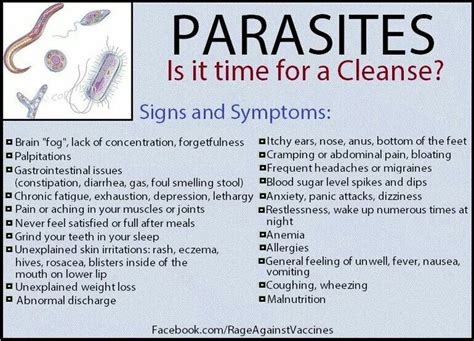 Pin On Parasites