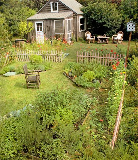 Country Gardening Organic Gardening Vegetable Gardening Gardening