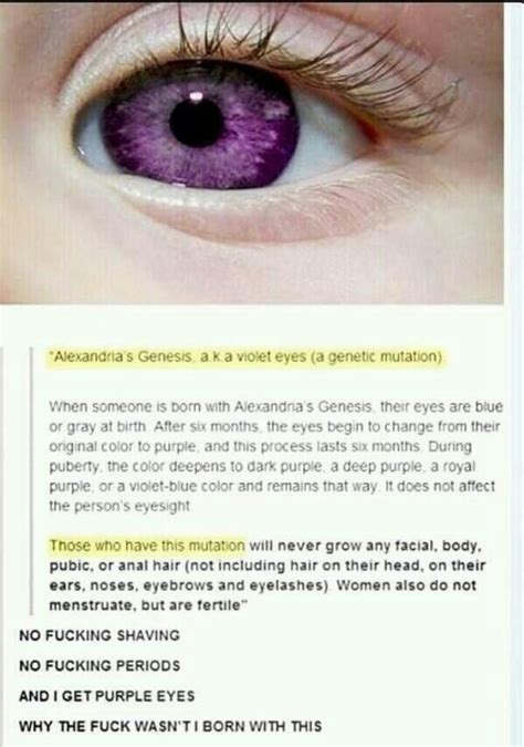Is This Real Purple Eyes Genetic Mutation Cool Stuff