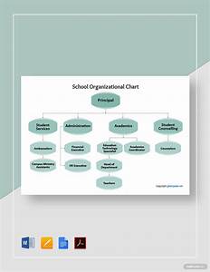  School Organizational Chart In Pdf Free Template Download
