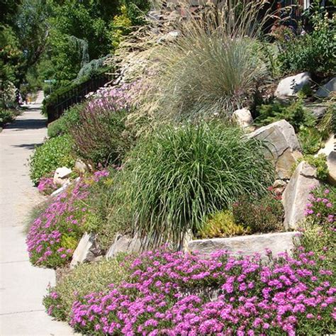 What Is Xeriscaping The Craftsman Blog