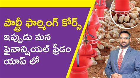 Poultry Farming Course In Telugu How To Start A Poultry Farming