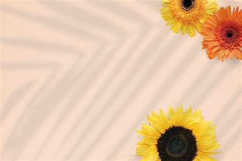 Natural Sunflower On Beige Background Free Image By
