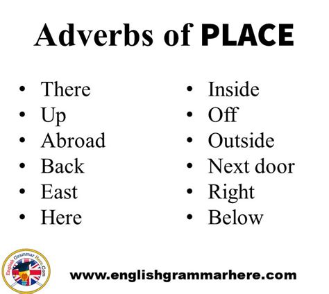 · he's not too old for this job. Adverb Of Degree Examples Sentences / Adverbs and ...