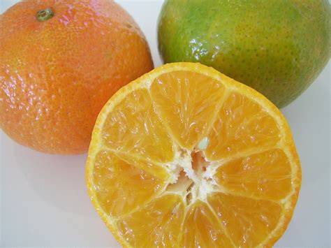 Oranges Citrus Fruits · Free Photo On Pixabay