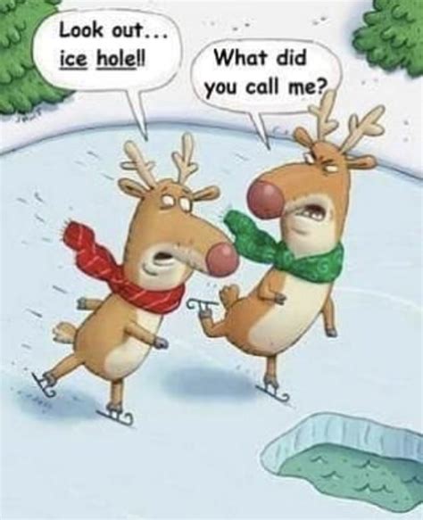 Misunderstanding Funny Christmas Cartoons Christmas Humor Funny Pix