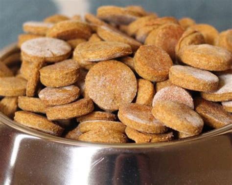 5 Healthy Dog Biscuit Recipes Uk Pets