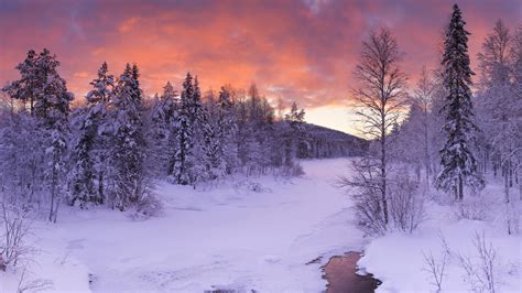 Wallpaper Nature Landscape Winter Snow Forest Finland Clouds