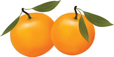 Oranges Clipart Clipart Best
