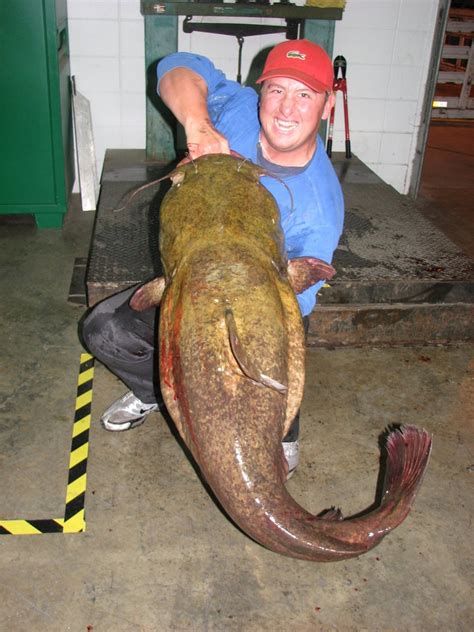 Caledonia Mississippi Angler Catches And Releases State Record