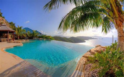 Nature Landscape Resort Swimming Pool Palm Trees Sea