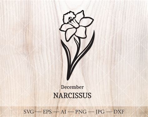 Narcissus Svg December Birth Flower Svg Birth Month Flower Narcissus