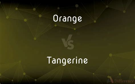 Orange Vs Tangerine — Whats The Difference