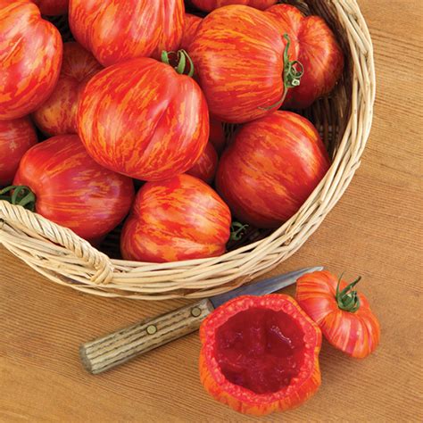 Get Stuffed Tomato Large Tomato Variety Seeds Totally Tomatoes
