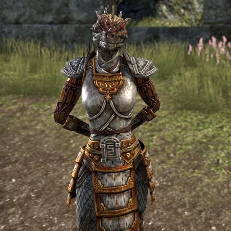 Onlineguildmaster Sees All Colors The Unofficial Elder Scrolls Pages