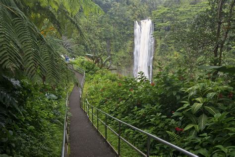Akaka Falls State Park Auf Hawaii Ausfluginfos Go Hawaii