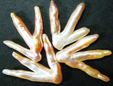 Chicken Feet Keshi Pearls High Luster 47cts Pf446