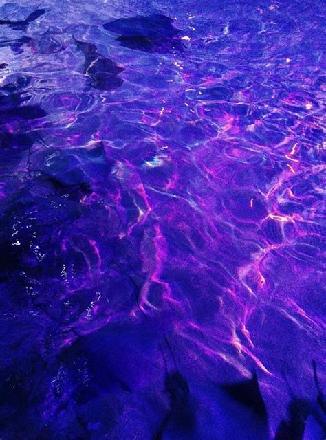 Purple Water And Grunge Bild Purple Aesthetic Violet Aesthetic