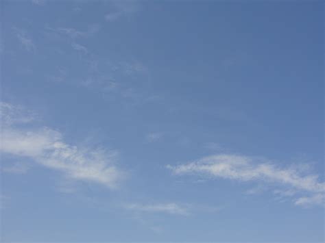 Filea Blue Sky Wikimedia Commons