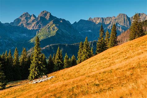 6 Easy Hikes From Zakopane Trails For Beginners In Tatra Mountains