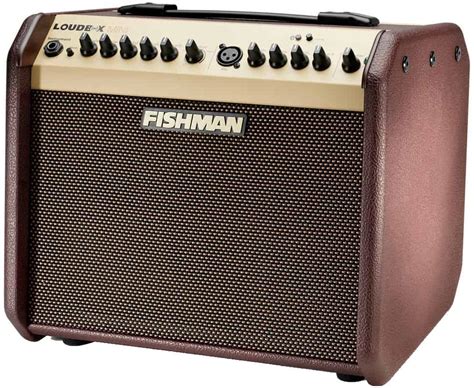 Best Acoustic Guitar Amp Guide All Budgets 2023 Gearank