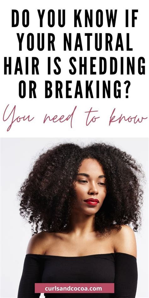 If the cause is mechanical, stop manipulating your hair so much. How To Stop Hair Breakage And Shedding (9 Tips To Help You ...