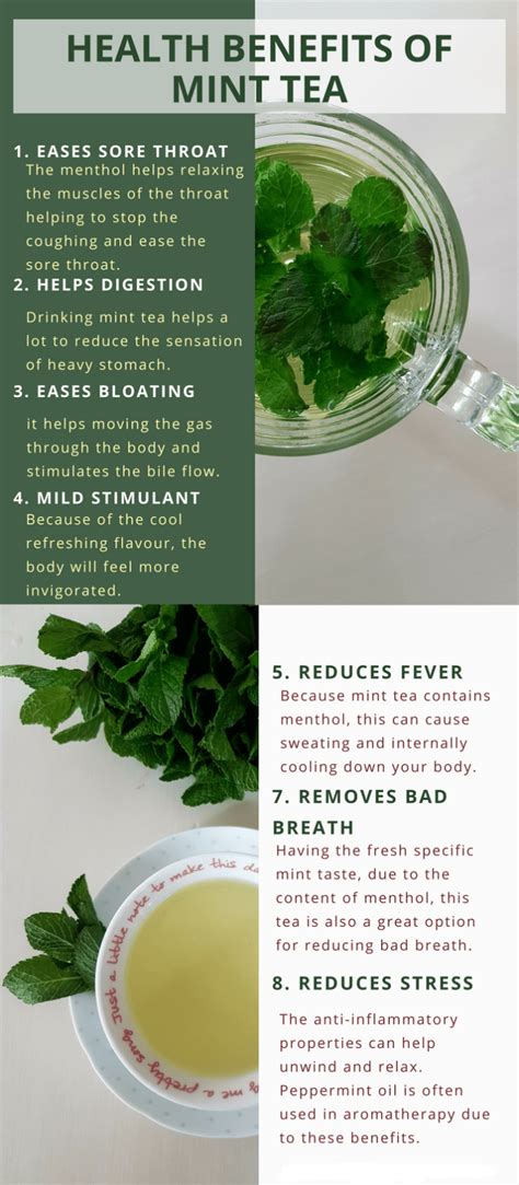 16 Special Benefits Of Peppermint Tea You Must To Know My Health Only
