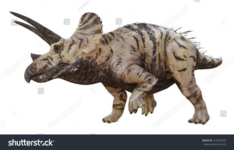 Triceratops Horridus Marsh Download Free 3d Model By The Smithsonian Images