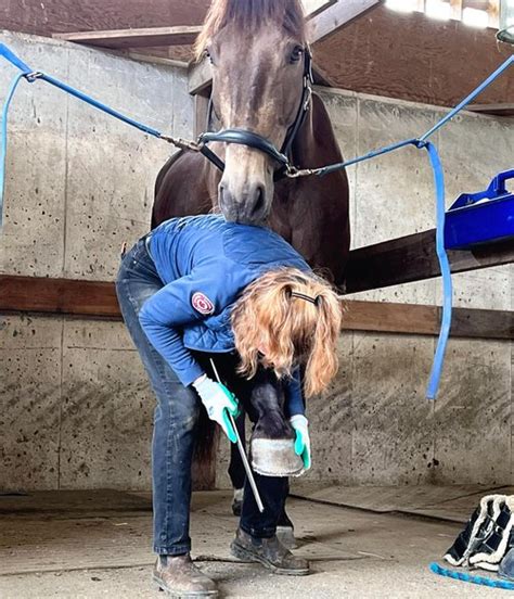 Barefoot Trimming Clinics Across Canada — Hoof Geeks