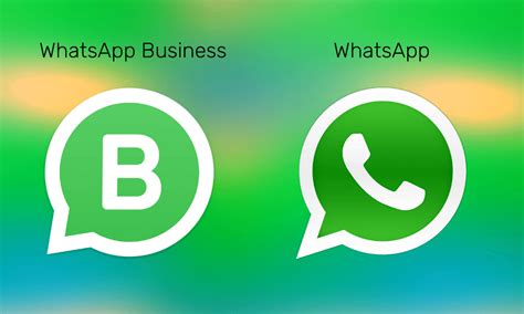 Whatsapp Vs Whatsapp Business Understanding The Difference