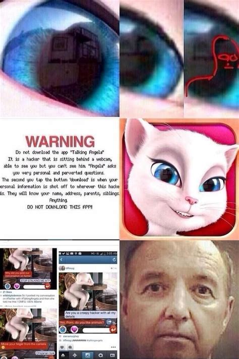 Why The Talking Angela App Is Dangerous Creepy Facts Scary Facts
