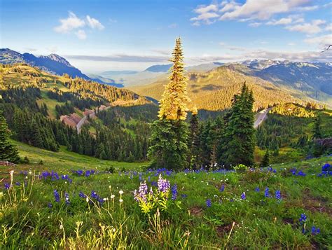 25 Best Places To Visit In Washington State Dreamworkandtravel