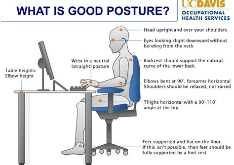 Iwtl How To Sit Properly On An Office Environment