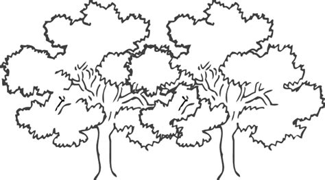 Tree Clip Art Oak Tree Clipart Black And White Image 24918
