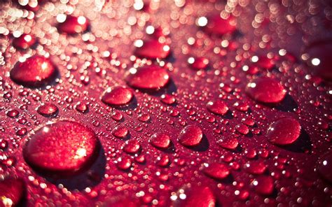 Red Water Drops Background