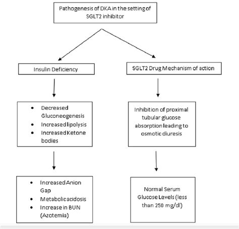 Pathogenesis Of Diabetic Ketoacidosis In The Setting Of Sglt Inhibitor Download Scientific