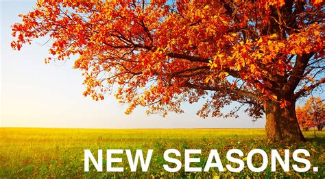 New Seasons