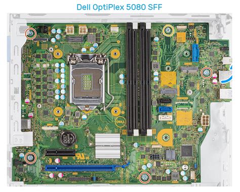 Analog devices adi 198x integrated hd audio, driver, windows xp, windows xp x64, multi language. Dell OptiPlex 5080 Review and Compared to 5070