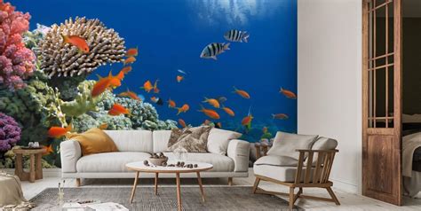 Tropical Fish On Coral Reef Wallpaper Wallsauce Us