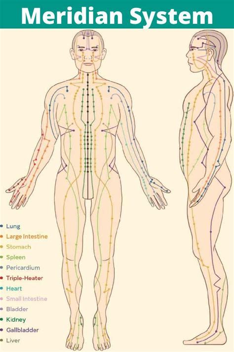 A Guide To Acupuncture And Massages Artofit