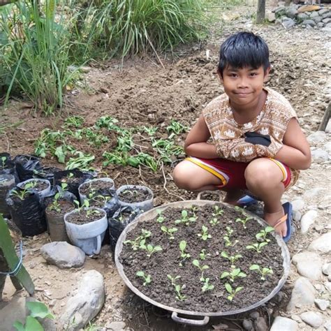 Vegetable Farming In Aklan Philippines Gffhelps