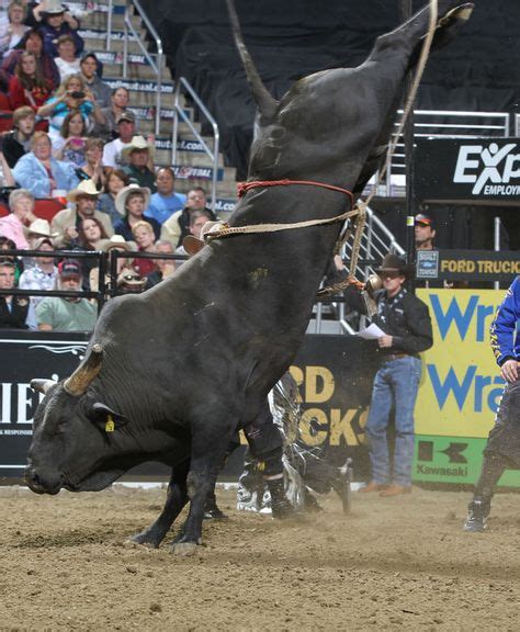 434 Best Bull Riding Images In 2019 Bull Riding Bull Riders Rodeo