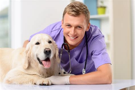 Careers With Animals 18 Awesome Jobs For Animal Lovers