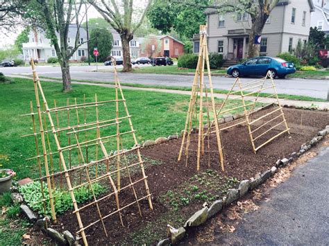 My Square Footage Garden With Diy Bamboo Trellises For Peas Cucumbers