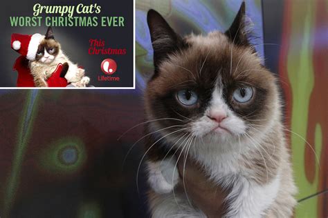 Grumpy Cat Not Amused By Star Role In ‘worst Christmas Ever