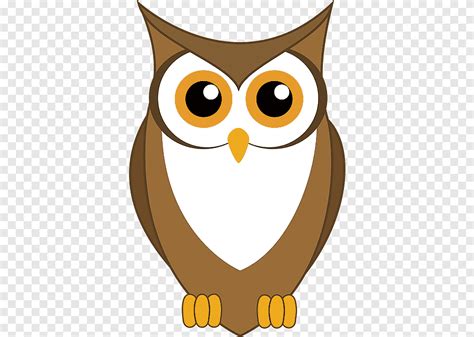 Barn Owl Bird Cartoon Owl Cartoon Character Animals Png Pngegg